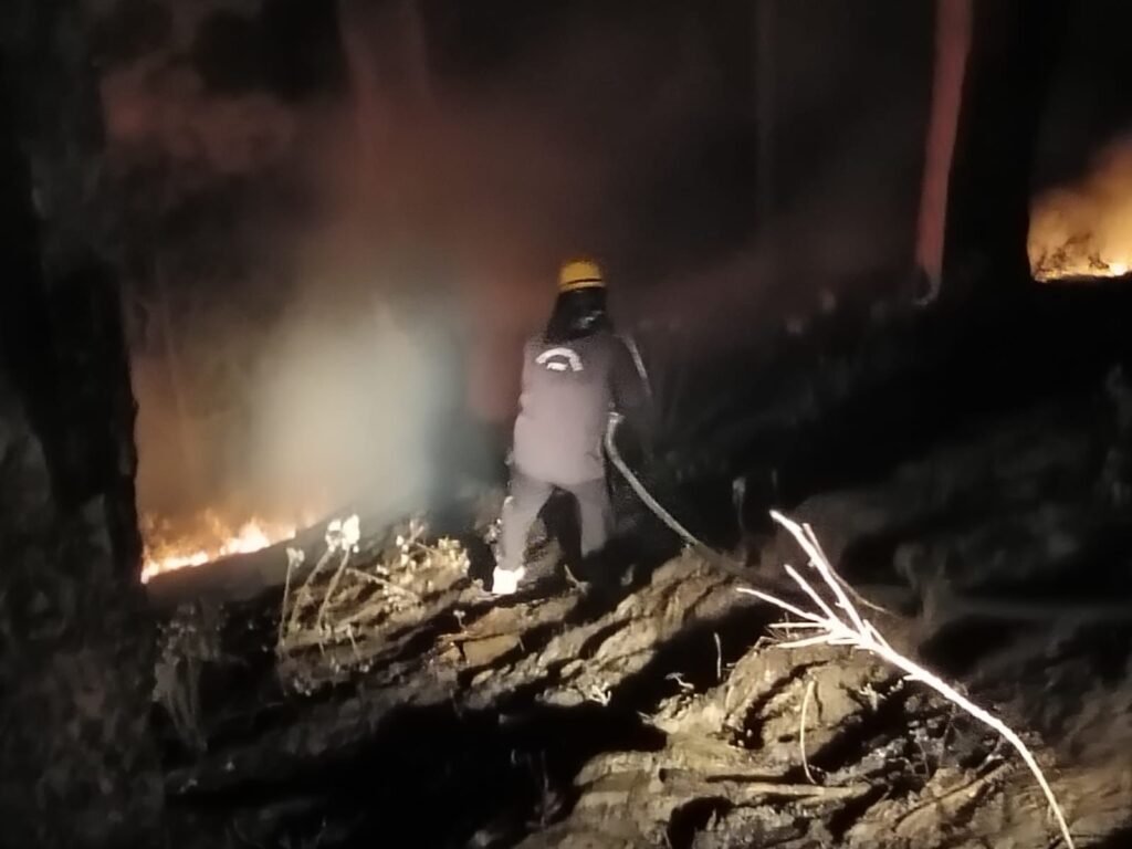 फायर सर्विस रानीखेत ने रोड के पास जंगल में लगी आग को बुझाया।