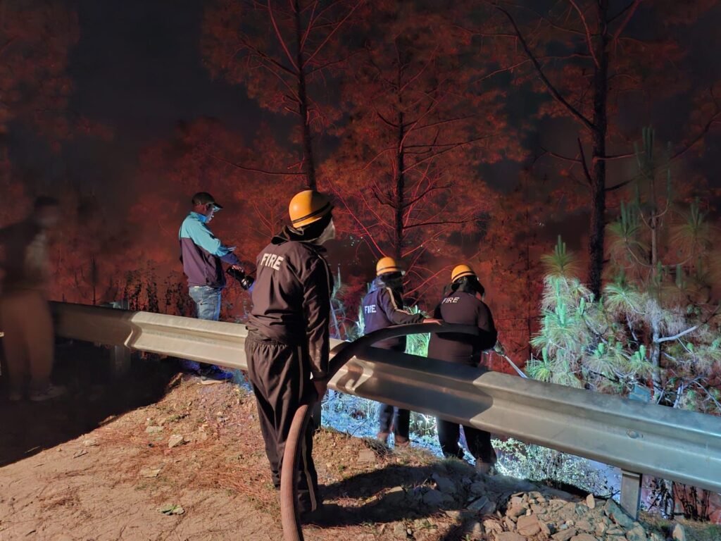 रानीखेत के पास जंगल में आग, फायर सर्विस की त्वरित कार्रवाई से टला खतरा