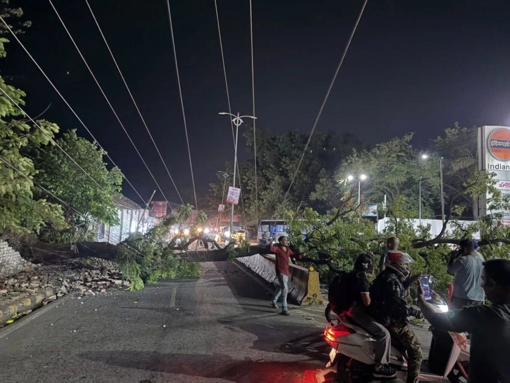 काठगोदाम में पेड़ गिरने से बिजली ठप ,यातायात हुआ बाधित।