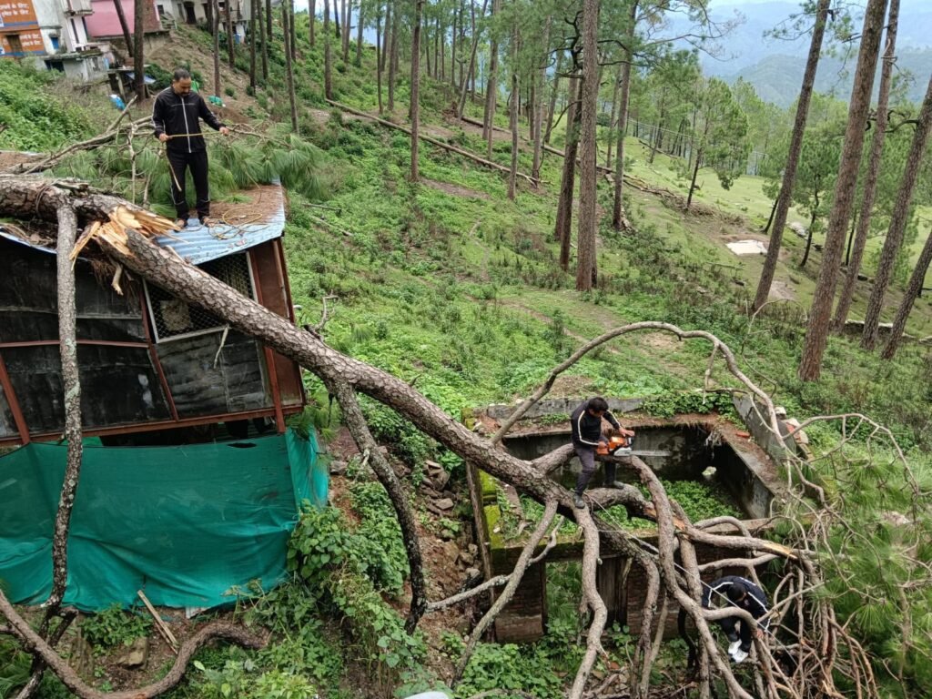 विशालकाय चीड़ का पेड़ मकान पर गिरा, फायर सर्विस रानीखेत ने पेड़ हटाने को चलाया त्वरित रेस्क्यू अभियान।