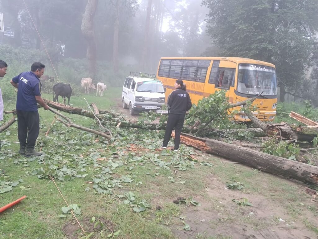 गोल्फ ग्राउंड के पास गिरा पेड़ फायर कर्मियों ने हटाया, वाहन क्षतिग्रस्त होने से बचे।