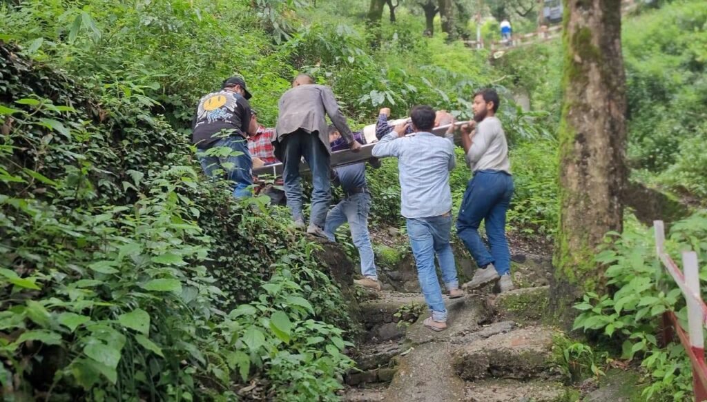 बर्थडे पार्टी में जंगली पत्ते के पकौड़े खाने से परिवार के 9 लोग बीमार, चक्कर आने और असामान्य व्यवहार के बाद जिला अस्पताल में कराया गया भर्ती।