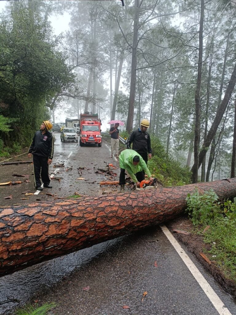 हल्द्वानी रोड और दलमोटी में पेड़ गिरने से यातायात थमा, फायर टीम ने संभाला मोर्चा, यातायात हुआ सुचारु।