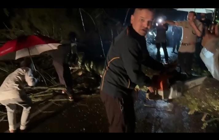 रानीखेत अल्मोड़ा रोड पर देर शाम सड़क पर गिरा विशाल चीड़ का पेड़, फायर रेस्क्यू टीम ने यातायात सुचारु करवाया।